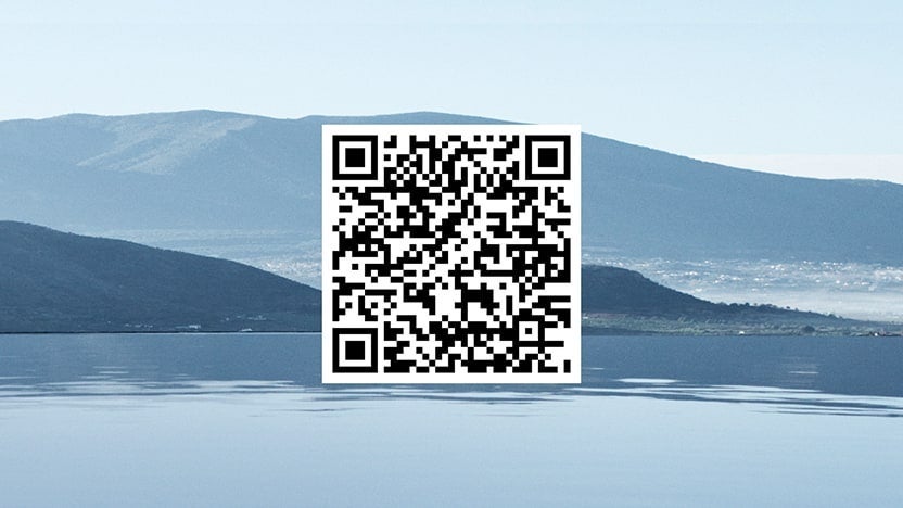 Hyundai Evolve+ iPhone QR code | Parks Hyundai of Gainesville in Gainesville FL